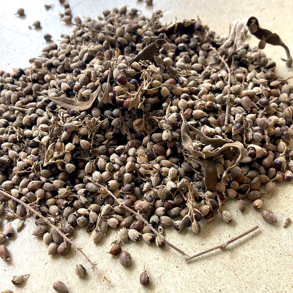 Organic dried vitex chasteberry 1/2 cup freshly harvested and dried this year.